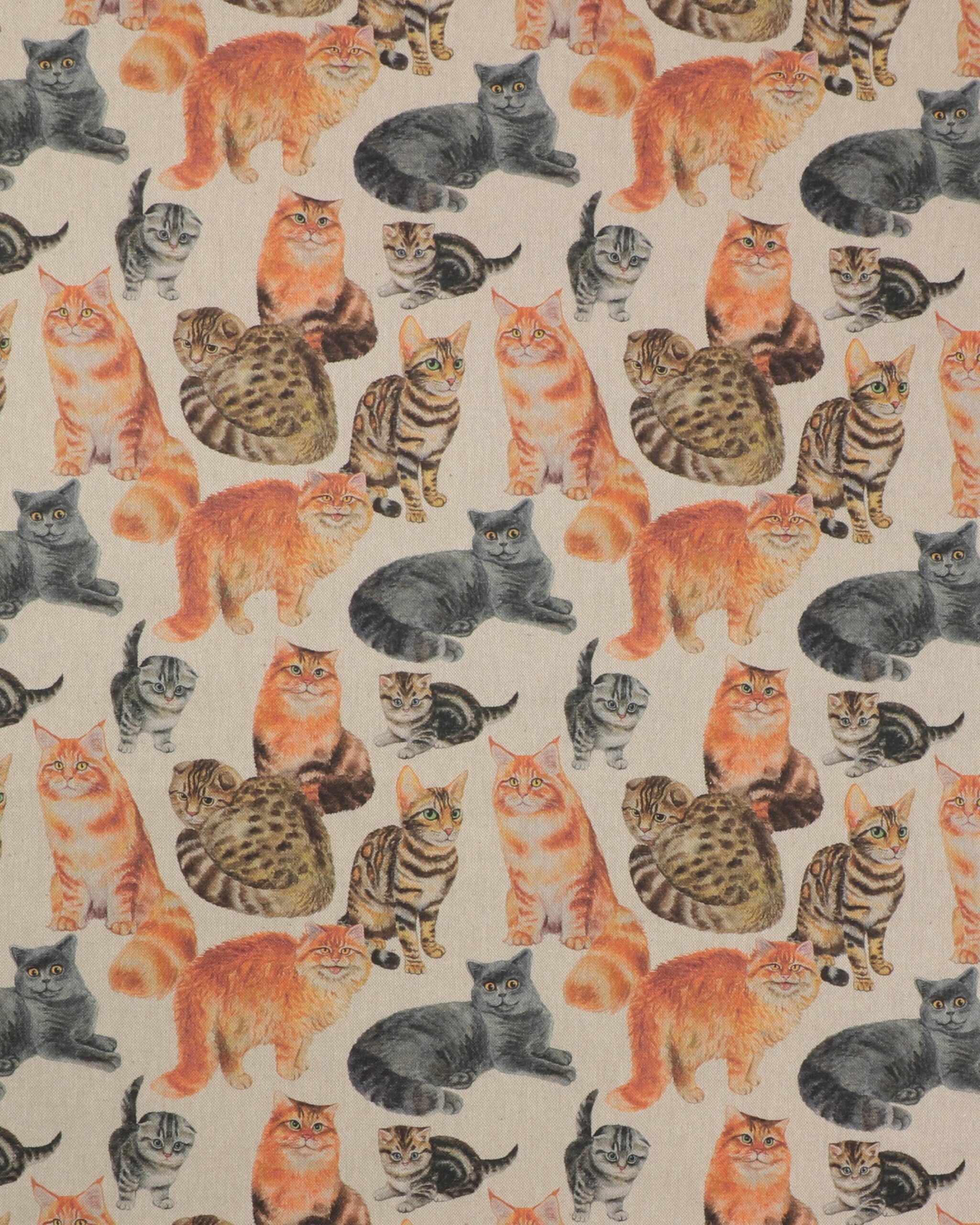 Katte - Boligtekstil - 10% Polyester, 90% Bomuld