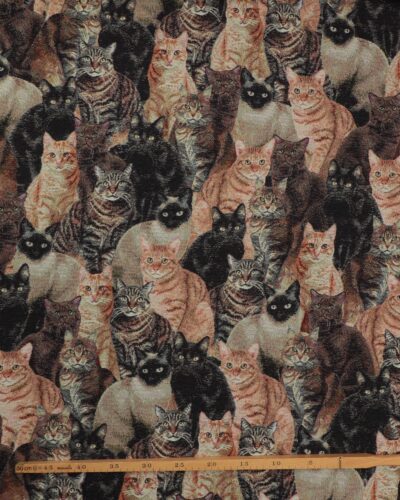 Alternative view of Katte - Gobelin