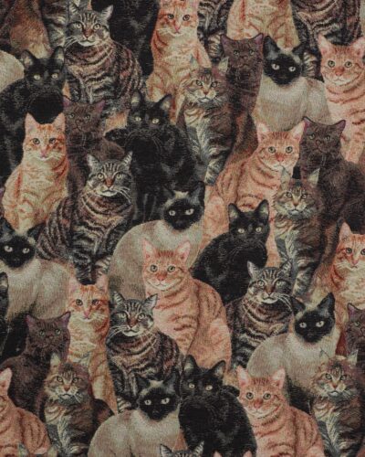 Katte - Gobelin