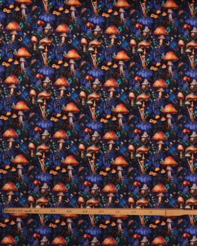 Alternative view of Svampe - French Terry