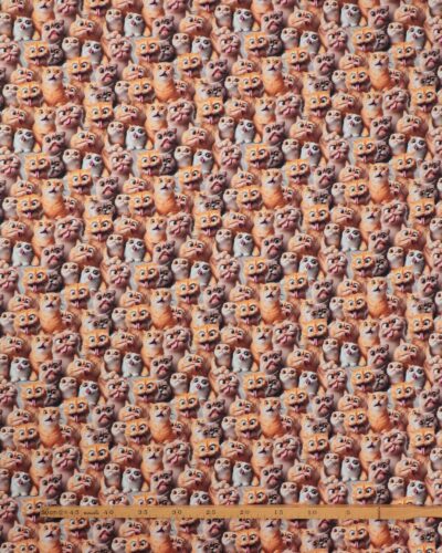 Gakkede katte - Jersey