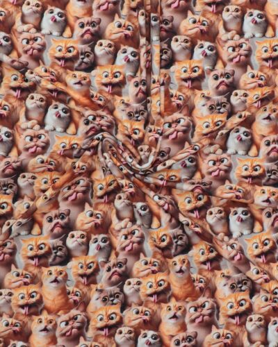 Gakkede katte - Jersey