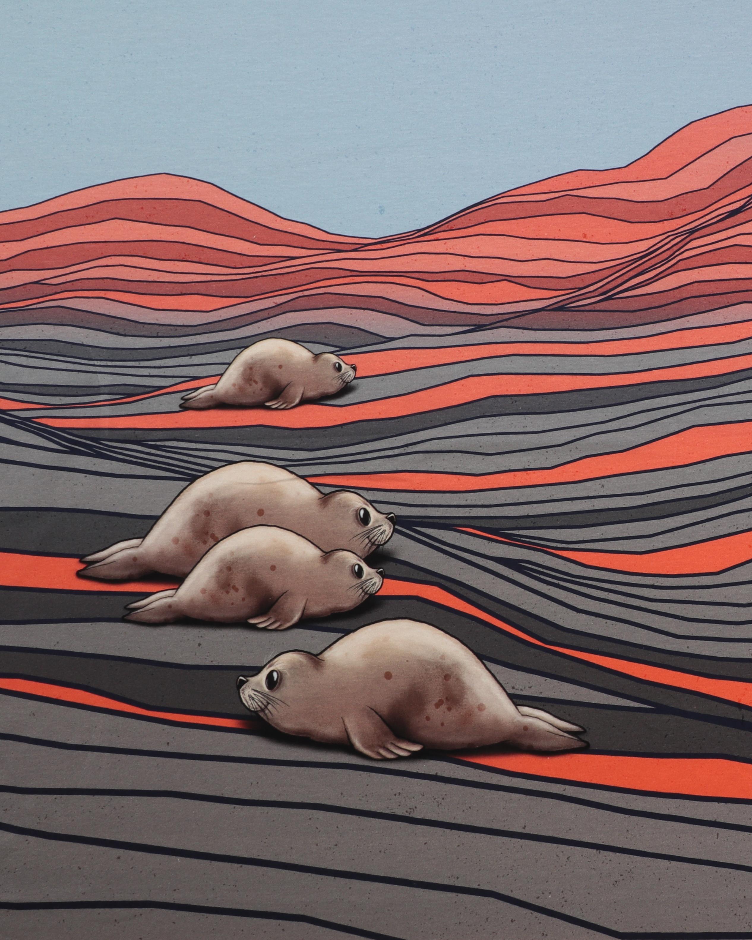 Sæler - Jersey rapport - 95% Bomuld, 5% Elastan