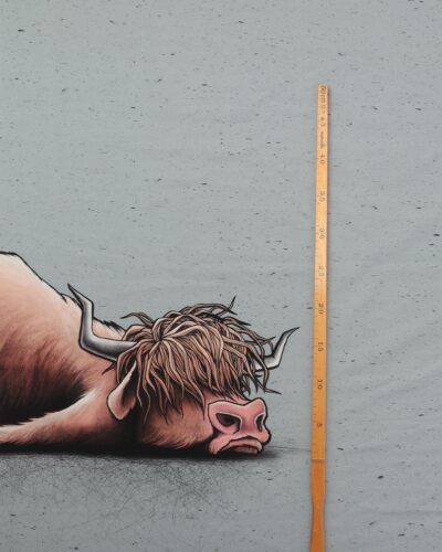 #unMOOtivated, Skotsk højlandskvæg - French Terry