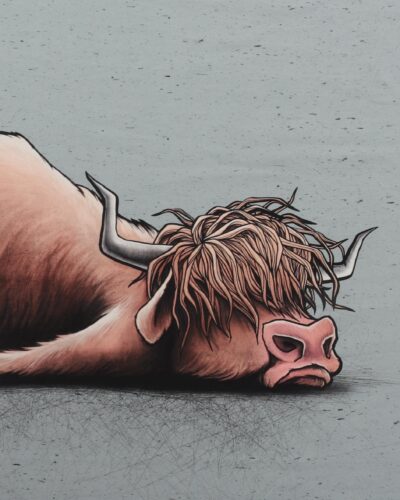 #unMOOtivated, Skotsk højlandskvæg - French Terry