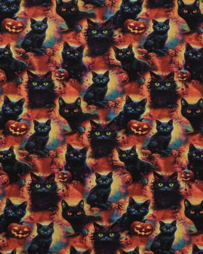 Halloween, sorte katte og græskar - Jersey
